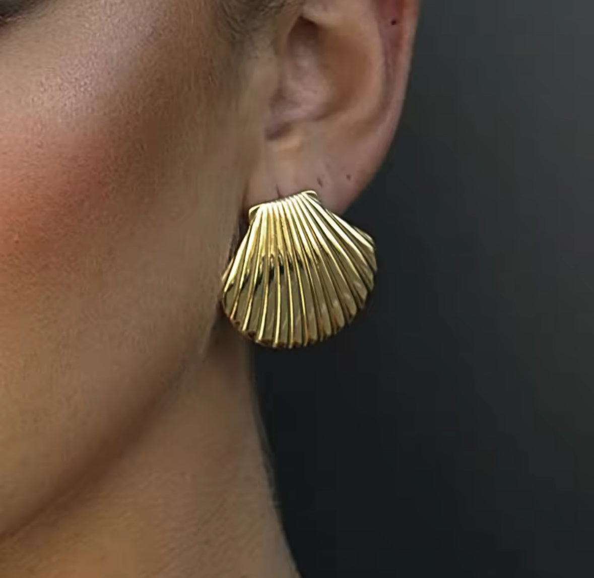 AROS CONCHA MAXI
