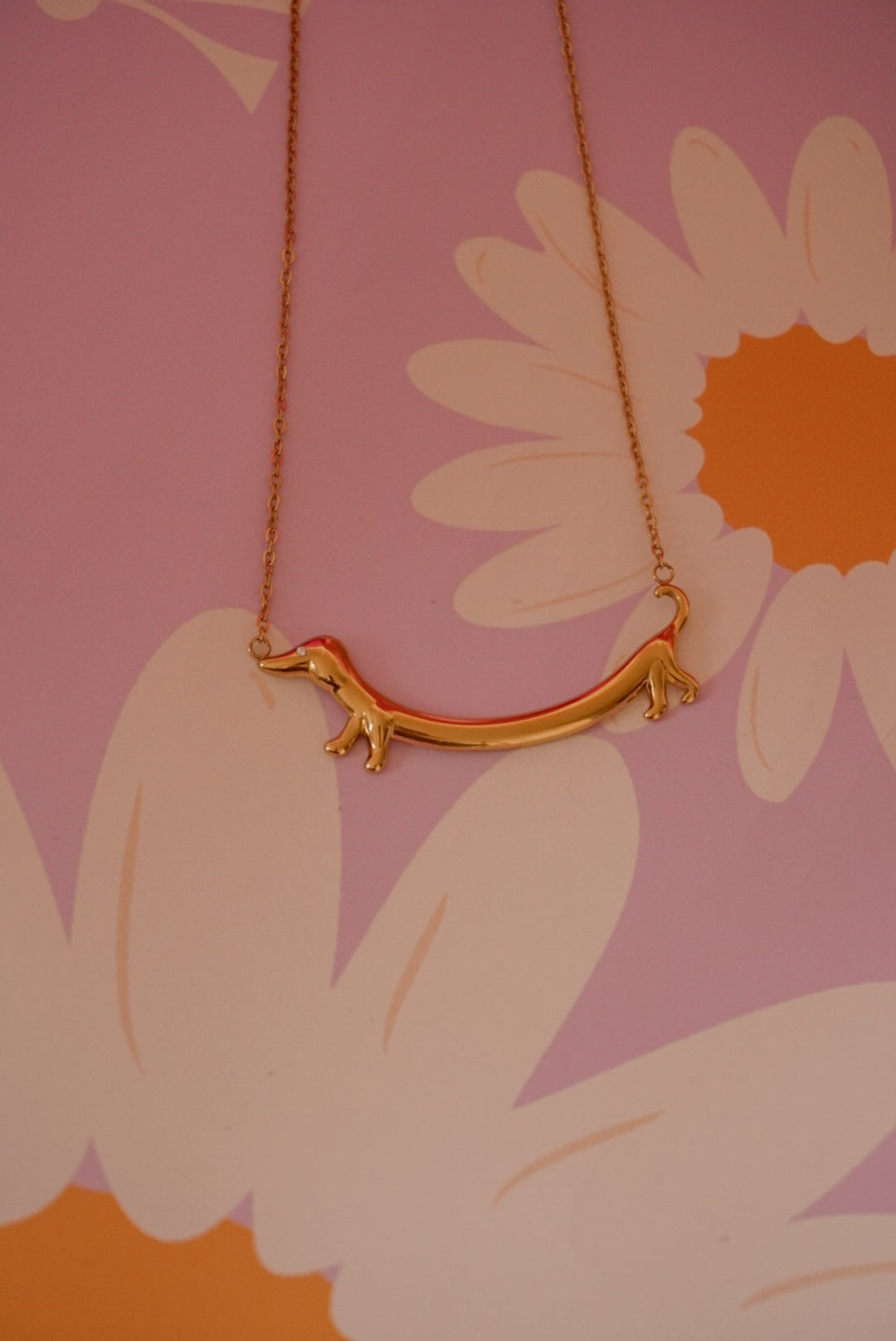 Collar Perrito Salchicha