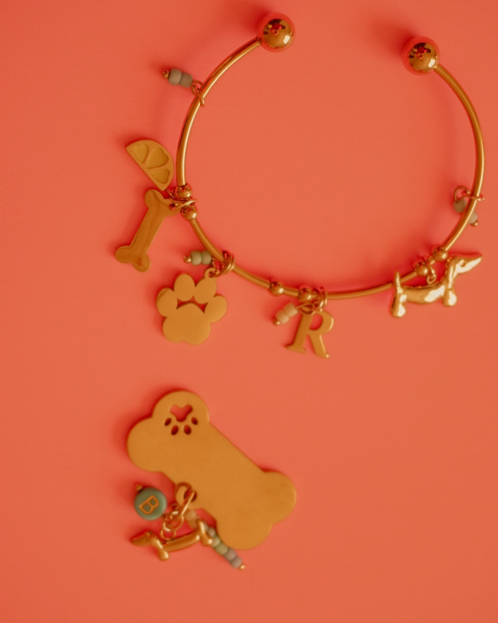 Placa para tu perrito