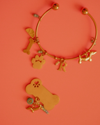 Placa para tu perrito