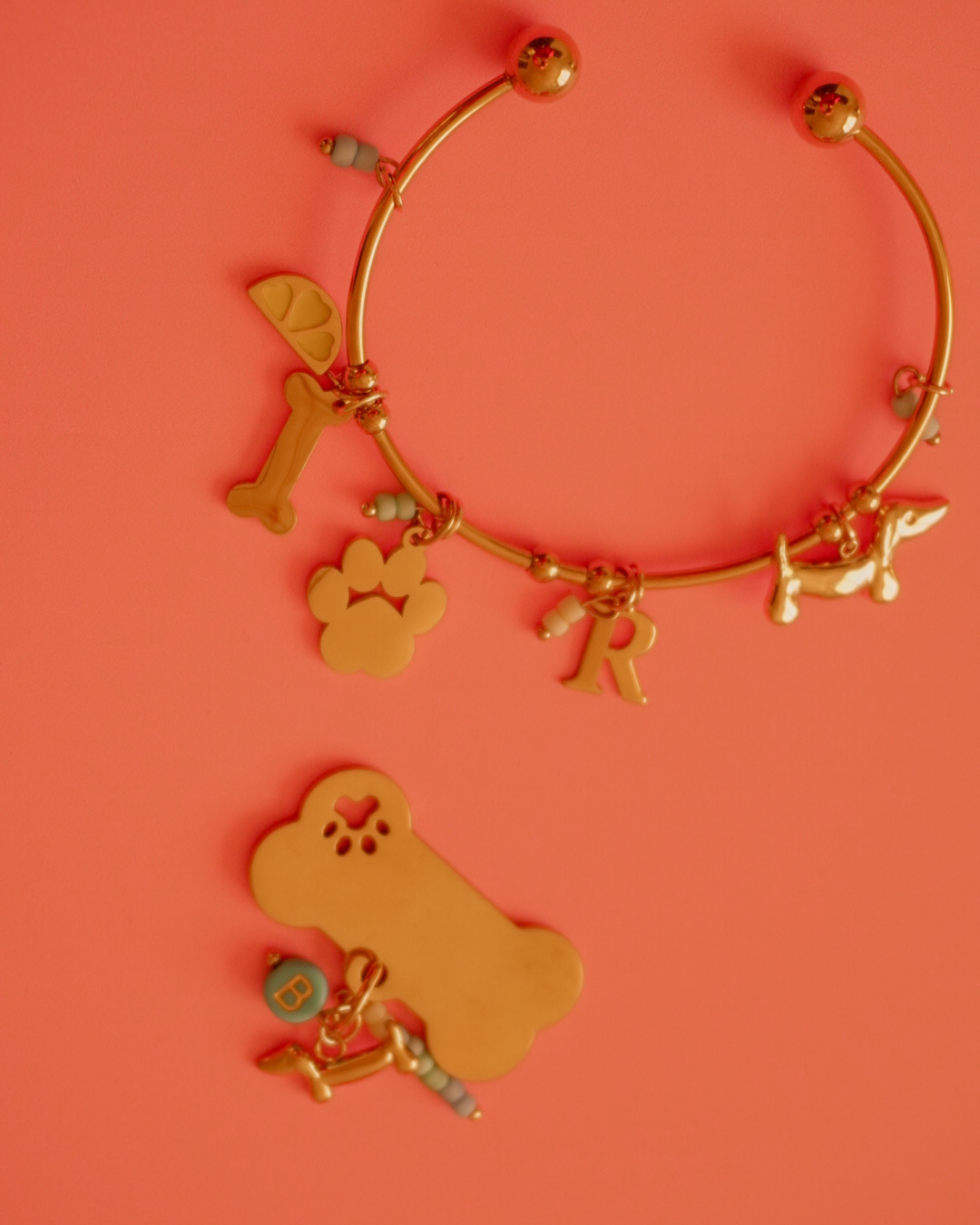 Placa para tu perrito