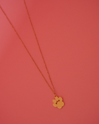 Collar Huellita