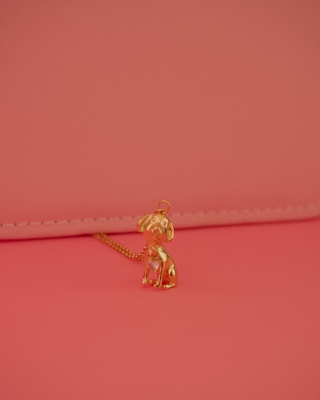 Collar perrito