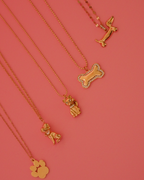 Collar Salchicha