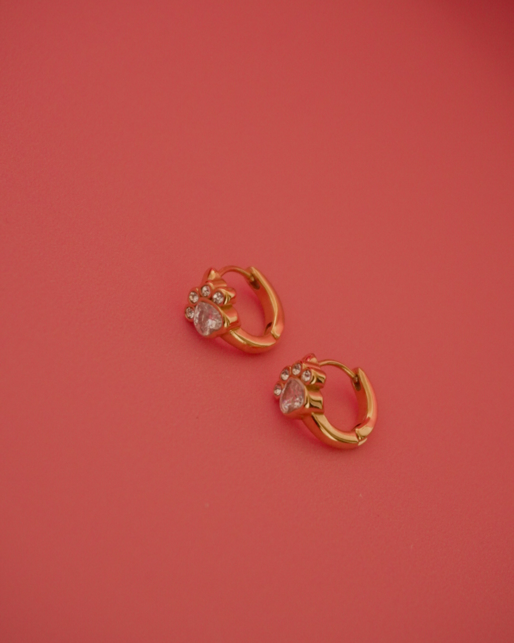 Aros Huellitas Mini