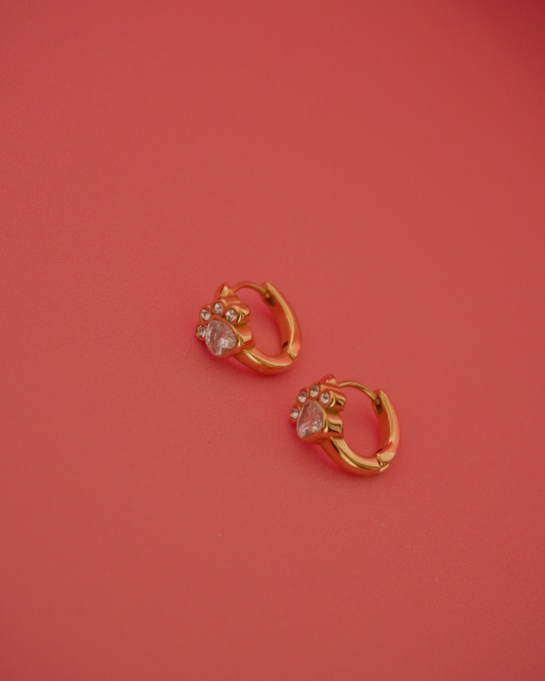 Aros Huellitas Mini