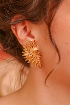 AROS ANDINA
