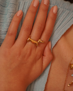 Anillo Nala salchicha