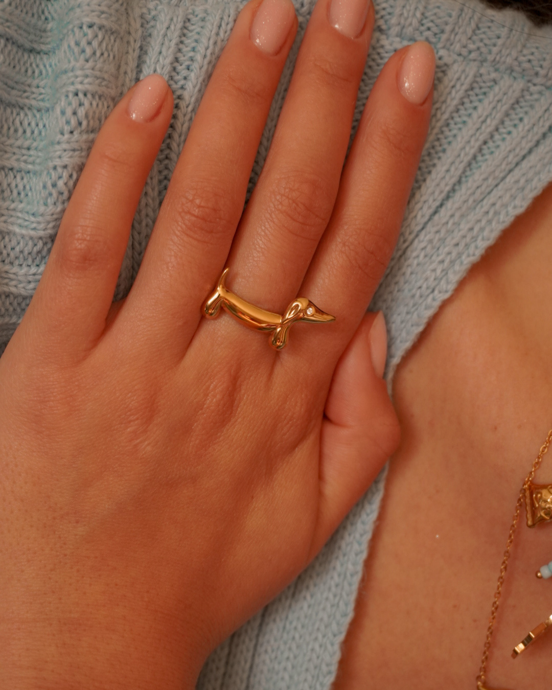 Anillo Nala salchicha