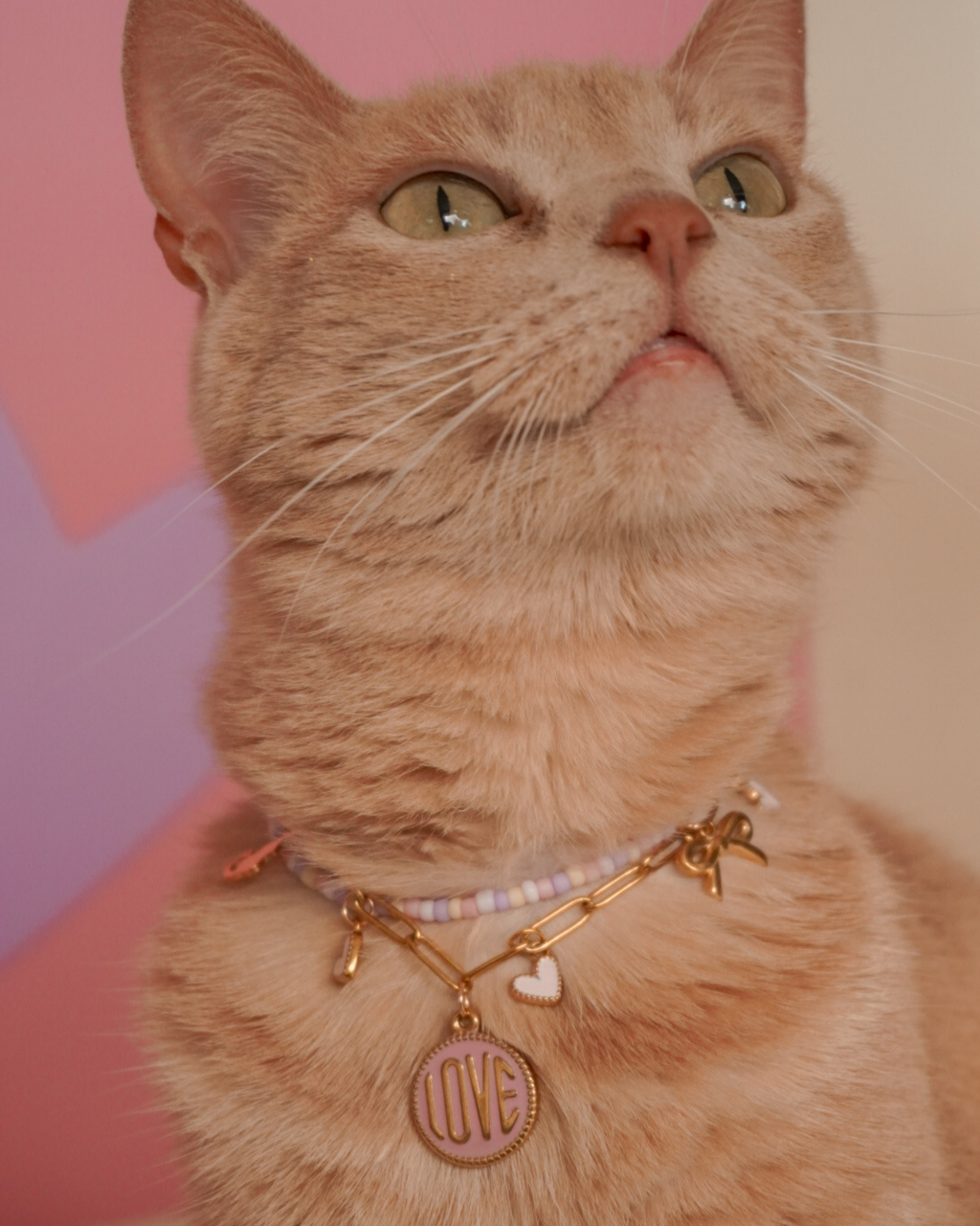 Collar Lucy