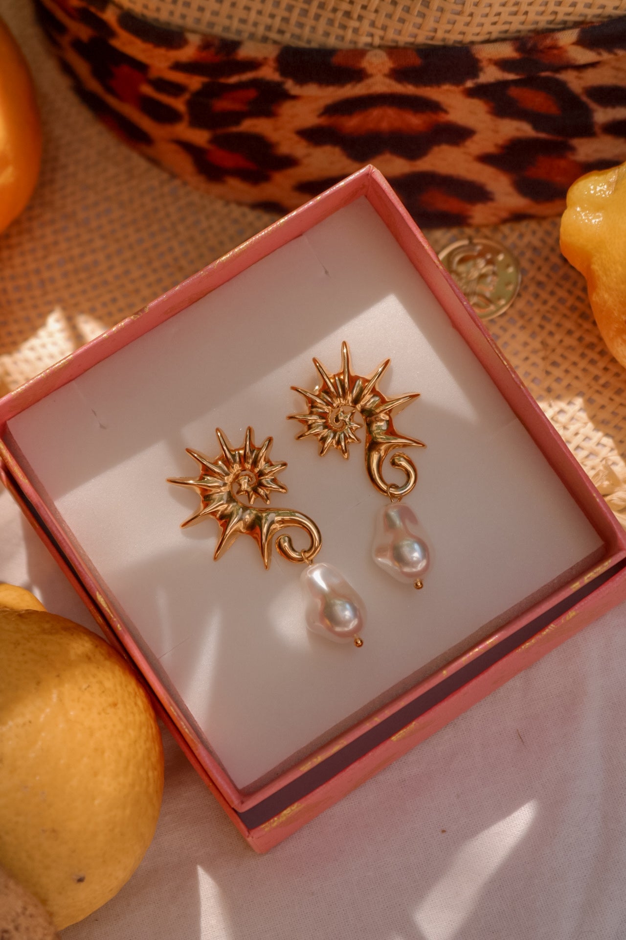 Aros Caballito de Mar