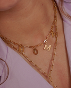 Collar con nombre de mascota
