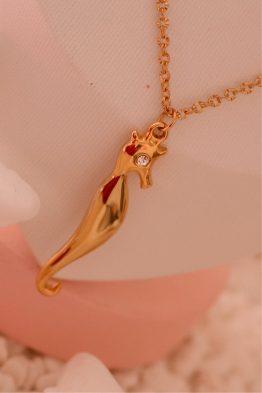 COLLAR MARINA