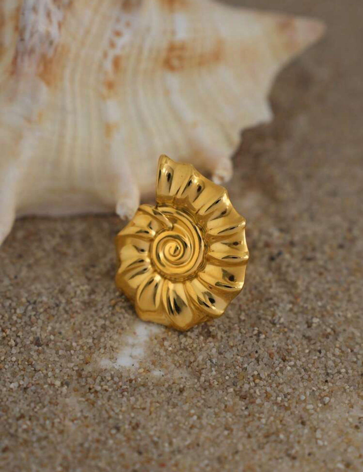 ANILLO CARACOLA MAXI