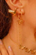 Aros colibrí Maxi