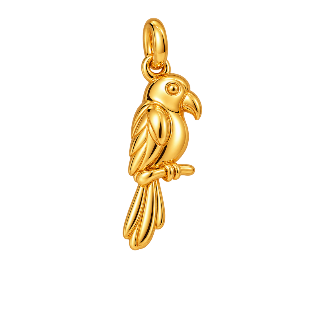 Pajaro
