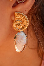 AROS CONCHA MARINA